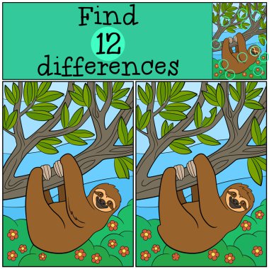 Eğitici bir oyun: bul farklılıklar. Şirin tembel tembel.