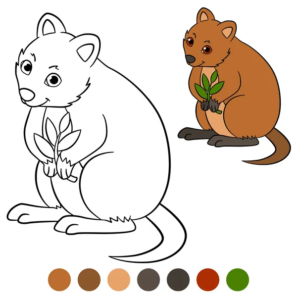 Color me: quokka. Little cute quokka with plant. — Stock vektor