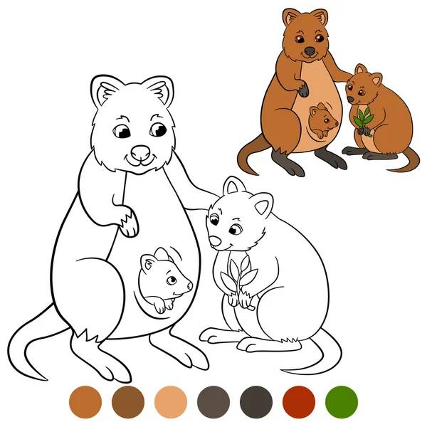 Color me: quokka. Mother quokka with her cute babies. — Stockový vektor