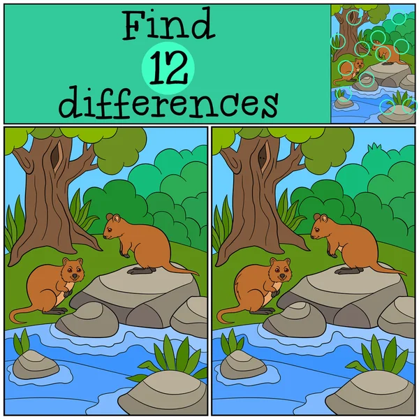 Educational game: Find differences. Two little cute quokkas. — Διανυσματικό Αρχείο