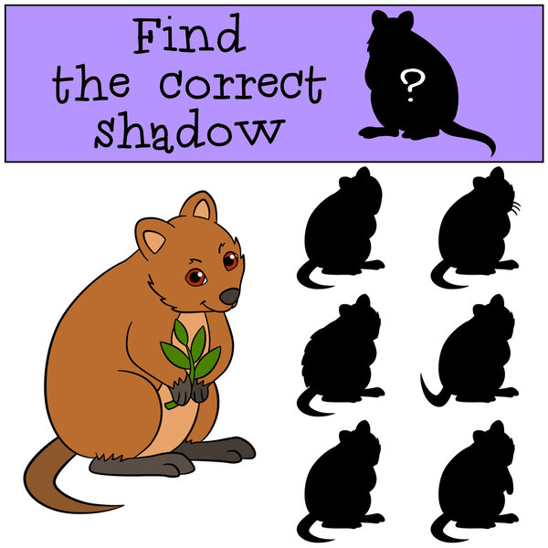Educational game: Find the correct shadow. Little cute quokka.