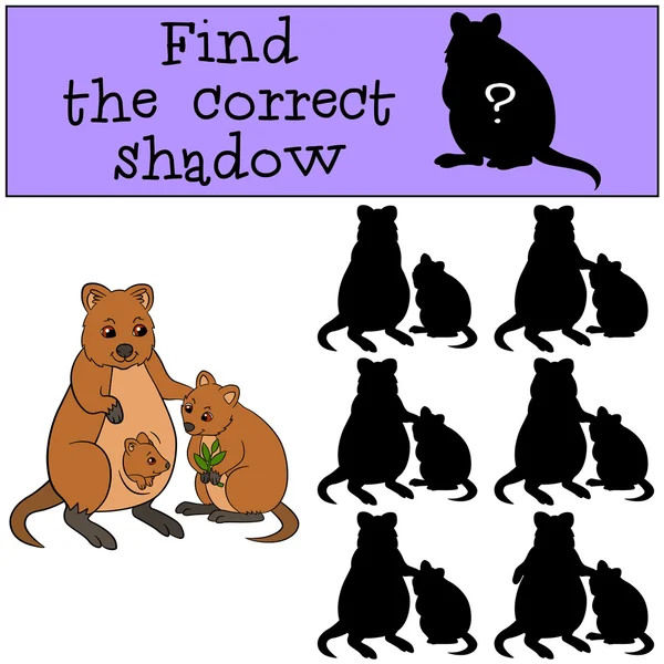 Lernspiel: Finden Sie den richtigen Schatten. Mutter quokka mit ba — Stockvektor
