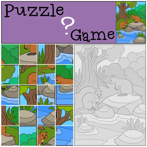 Juego de educación: Puzzle. Dos pequeños quokkas lindos . — Vector de stock