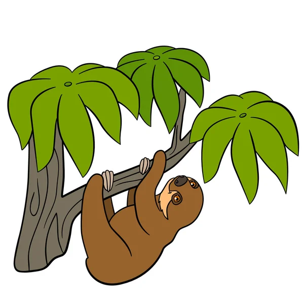 Cartoon animals. Little cute baby sloth. — Stock vektor