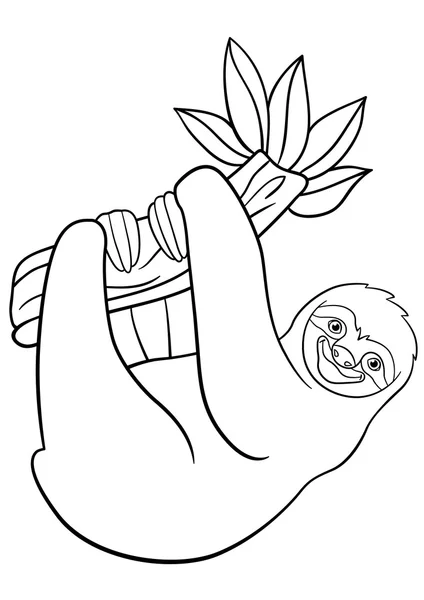 Coloring pages. Cute lazy sloth hangs on the tree. — Stock vektor