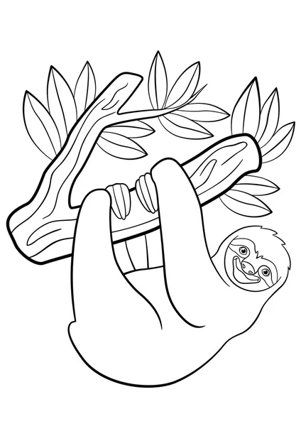 Coloring pages. Cute lazy sloth hangs on the tree. — Stock vektor