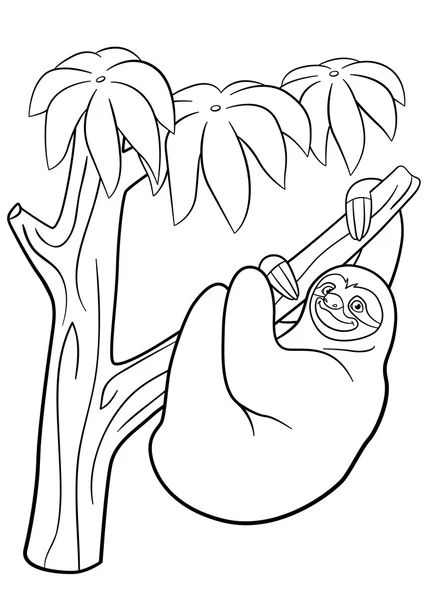 Coloring pages. Cute lazy sloth hangs on the tree. — Διανυσματικό Αρχείο