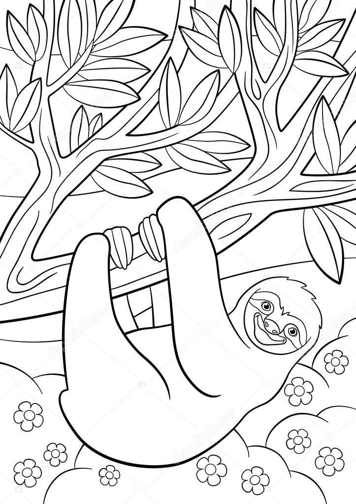 Coloring pages. Cute lazy sloth on the tree.