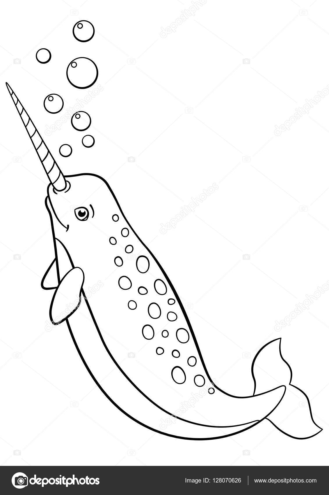 440 Cute Narwhal Coloring Pages  Best HD