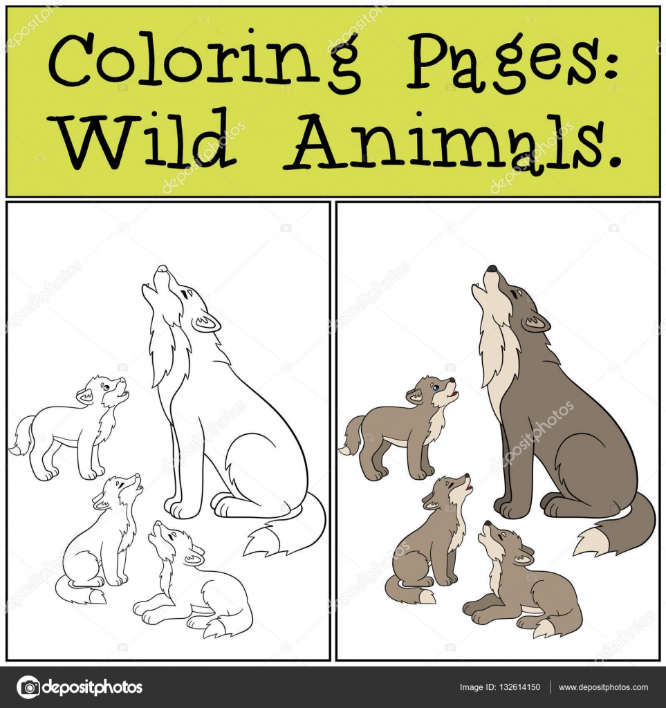 Disegni da colorare Animali selvatici Padre lupo urla con i suoi bambini — Vettoriale