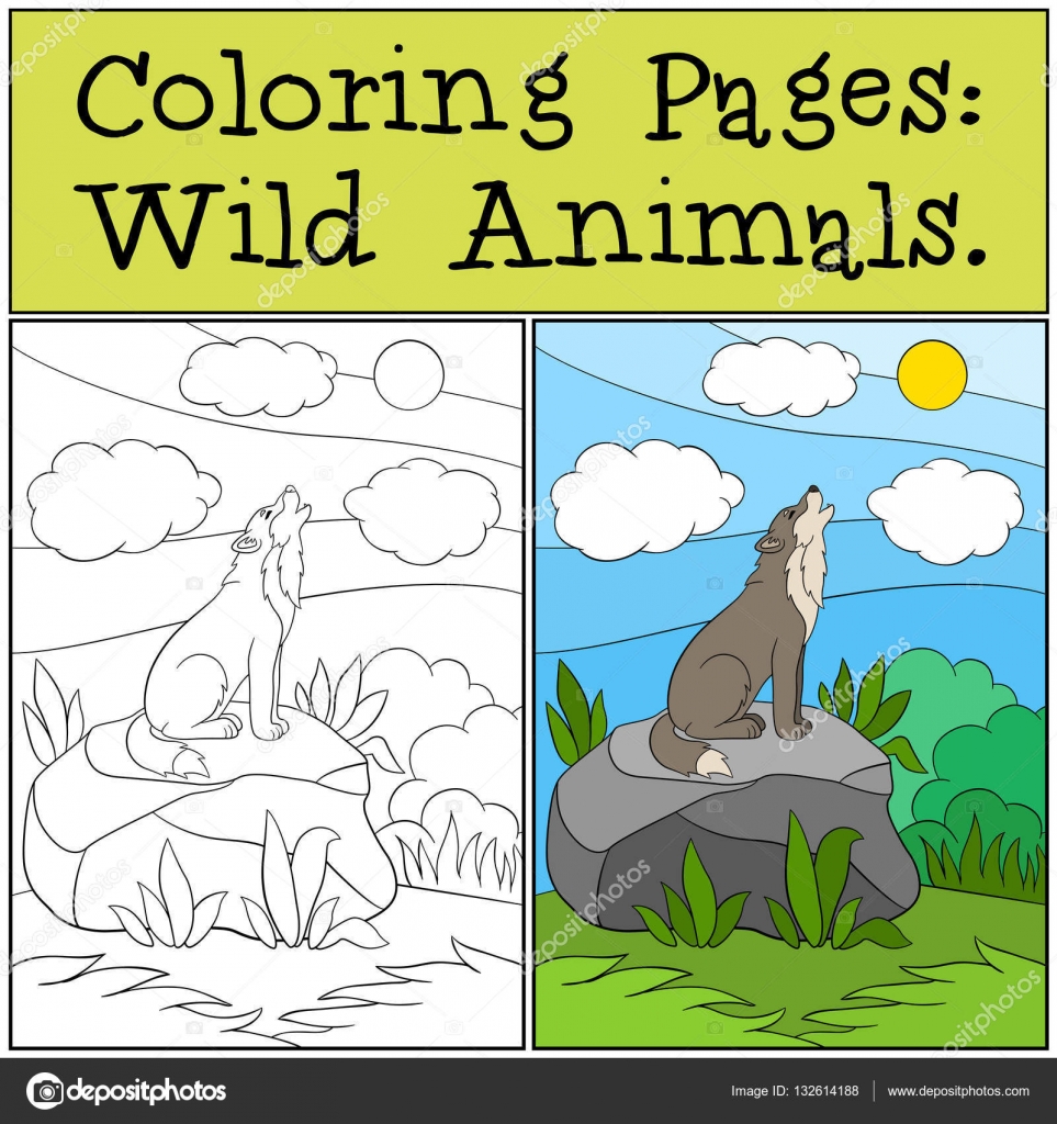 Disegni da colorare Animali selvatici Carino bel lupacchiotto si leva in piedi sulla pietra e urlante — Vettoriali di ya mayka