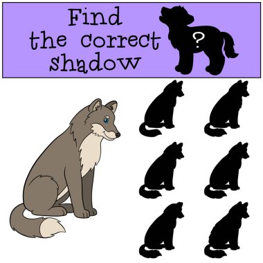 Eğitici bir oyun: doğru gölge bulmak. Sevimli güzel kurt s