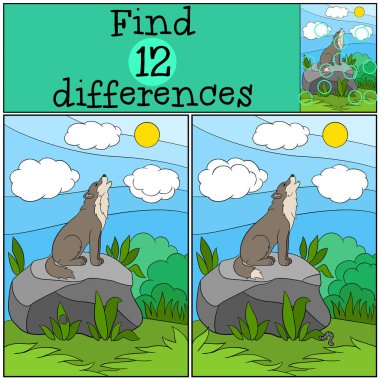 Eğitici bir oyun: bul farklılıklar. İnleyen şirin güzel kurt.