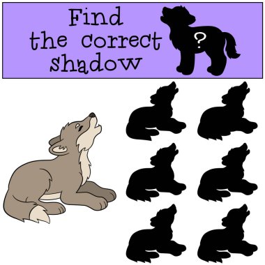 Eğitici bir oyun: doğru gölge bulmak. Küçük bebek kurt howl