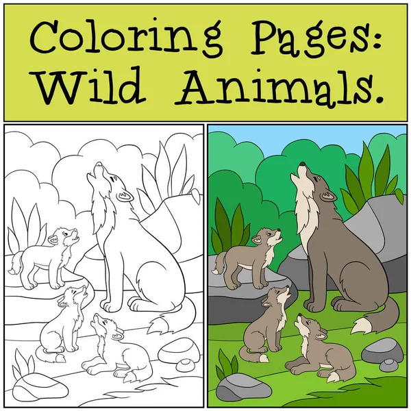 Coloriages : Animaux sauvages. Père loup hurle avec ses bébés . — Image vectorielle