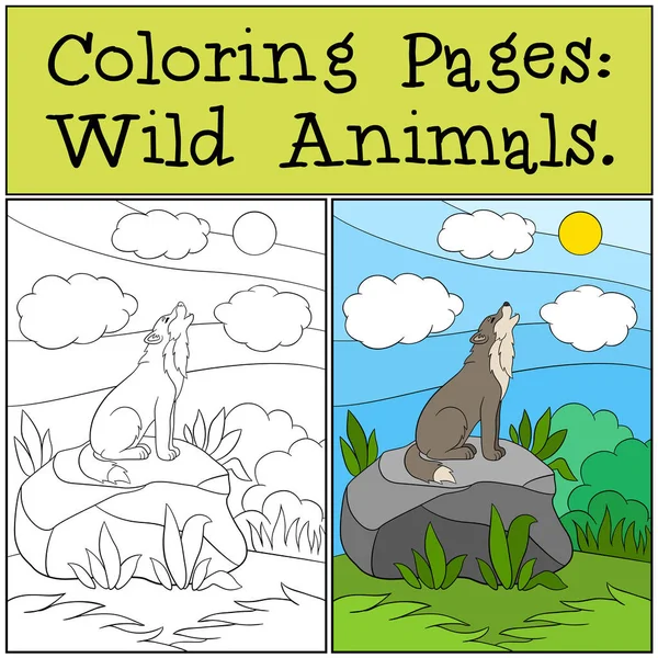 Забарвлення сторінки: Дикі тварини. Симпатичні красива вовком виє. — стоковий вектор