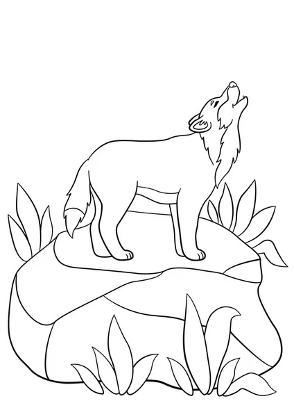 Coloring pages. Cute beautiful wolf stands and howling. — Stock Vector