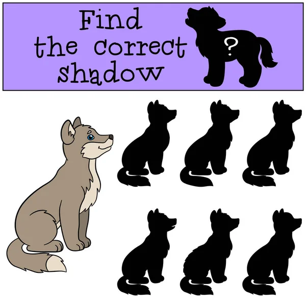 Jogo educativo: Encontre a sombra correta. Pequeno lobo bebé smil —  Vetores de Stock
