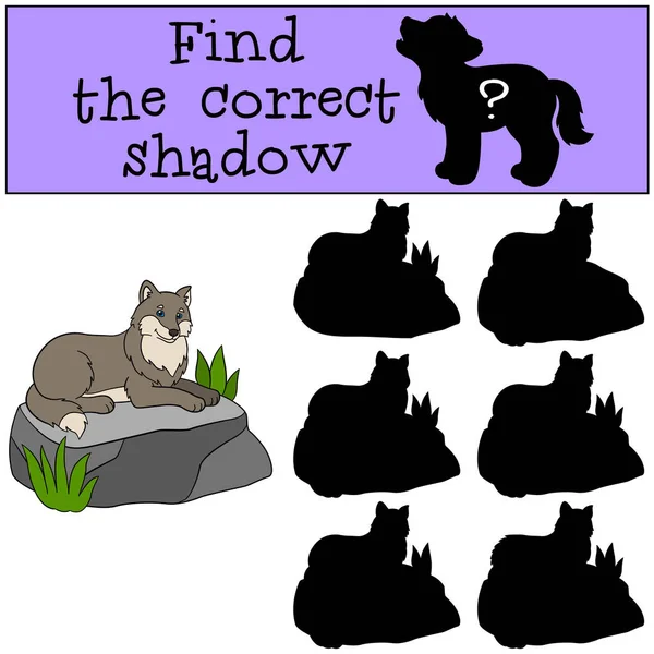 Εκπαιδευτικό παιχνίδι: βρείτε τη σωστή σκιά. Χαριτωμένο όμορφη λύκος s — Διανυσματικό Αρχείο