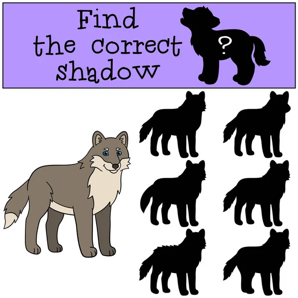 Lernspiel: Finden Sie den richtigen Schatten. Niedliche schöne Wolf s — Stockvektor