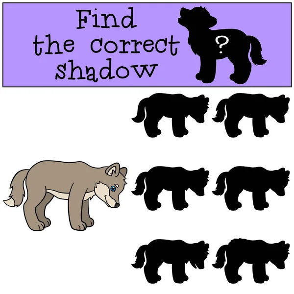 Juego educativo: Encuentra la sombra correcta. Pequeño lobo bebé lindo — Vector de stock