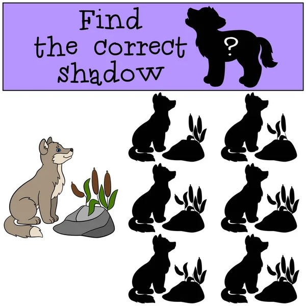 Εκπαιδευτικό παιχνίδι: βρείτε τη σωστή σκιά. Λίγο χαριτωμένο μωρό λύκος — Διανυσματικό Αρχείο