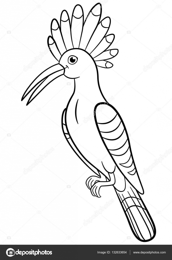 Disegni da colorare Carino bella Upupa si siede e sorrisi — Vettoriali di ya mayka