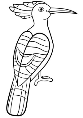 Boyama sayfaları. Sevimli güzel ibibik oturur.
