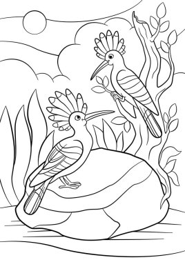 Boyama sayfaları. İki sevimli güzel ibibikler gülümseme.