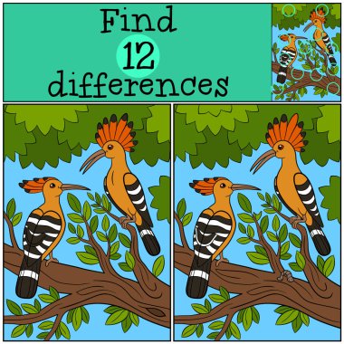 Eğitici bir oyun: bul farklılıklar. Güzel ibibikler tre üzerinde