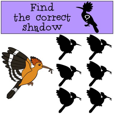 Eğitici bir oyun: doğru gölge bulmak. Wo ile anne ibibik