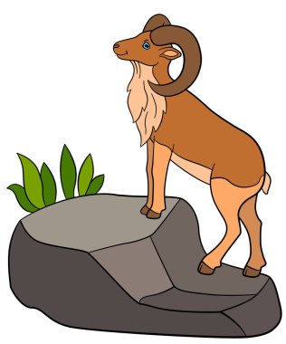 Karikatür hayvanlar. Sevimli güzel urial kayanın üzerinde duruyor.