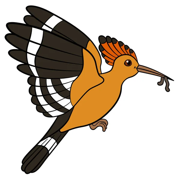 Pássaros de desenhos animados. Mãe Hoopoe segura um verme em seu bico . —  Vetores de Stock