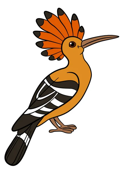 Ptaki kreskówki. Uśmiech ładny piękny hoopoe. — Wektor stockowy