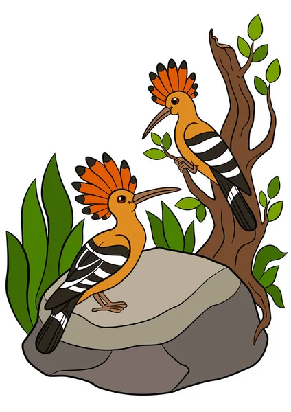 Pájaros de dibujos animados. dos lindo hermosa hoopoes . — Vector de stock