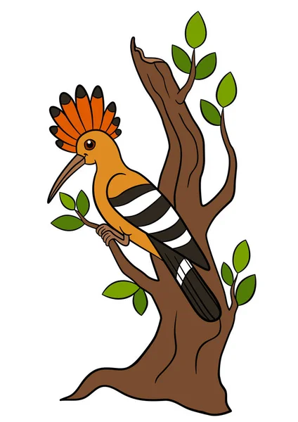 Pájaros de dibujos animados. Linda hermosa abubilla se sienta en la rama del árbol . — Vector de stock