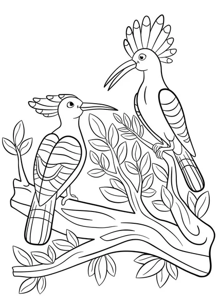Coloring pages. Two cute beautiful hoopoes smile. — Stock Vector