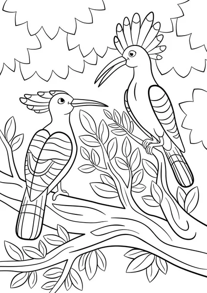 Coloring pages. Two beautiful hoopoes sit on the tree branch. — Stock Vector