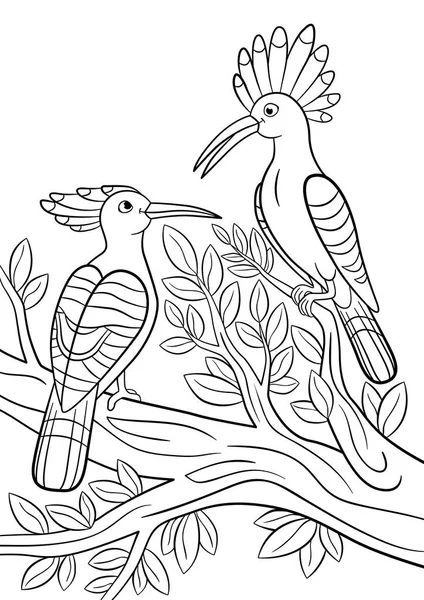 Coloring pages. Two beautiful hoopoes sit on the tree branch. — Stock Vector