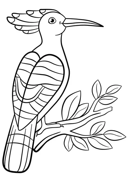 Coloring pages. Cute beautiful hoopoe sits on the tree branch. — Stock Vector