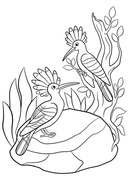 Coloring pages. Two cute beautiful hoopoes smile. — Stock Vector