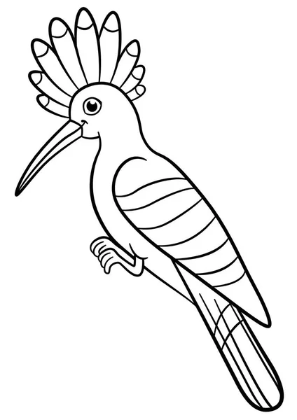 Coloring pages. Cute beautiful hoopoe sits. — Stock Vector