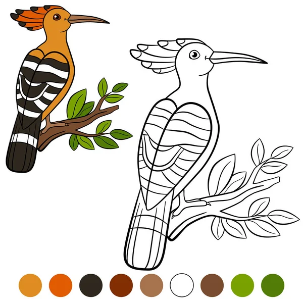 Color me: hoopoe. Cute beautiful hoopoe on the tree branch. — Stock Vector