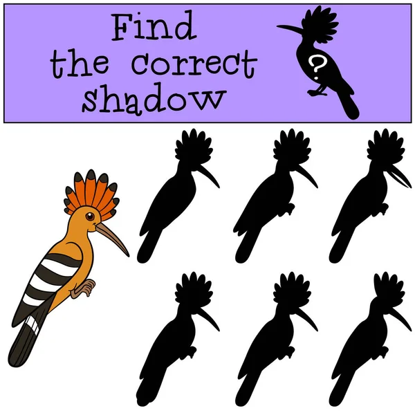 Educational game: Find the correct shadow. Cute beautiful hoopoe — Stock Vector
