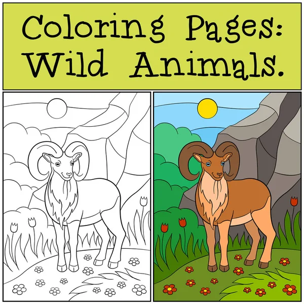 Dibujos para colorear: Animales salvajes. Linda hermosa urial sonrisas . — Vector de stock