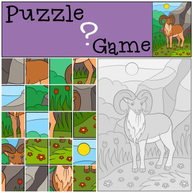 Eğitim oyun: Puzzle. Büyük boynuzlu şirin güzel urial.