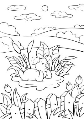 Şirin küçük domuzcuk su birikintisinde yatıyor ve gülümsüyor..