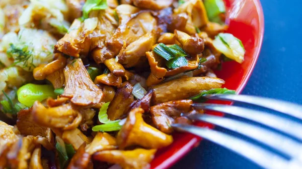 Funghi fritti e patate sul piatto — Foto Stock