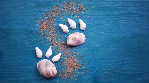 Kabukları pençeleri bir kedi, kum, güneş şeklinde. Yaz ve dinlenme ruhu kavramı