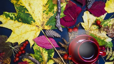 Bir fincan sıcak çay sonbahar çevrili bırakır. Sonbahar kavramı